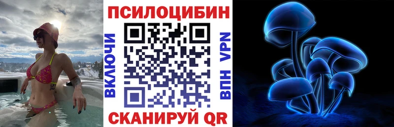 Псилоцибиновые грибы MAGIC MUSHROOMS Купить где Волжск